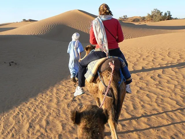 Tourists riding camels through the vast sand dunes of Erg Chigaga desert