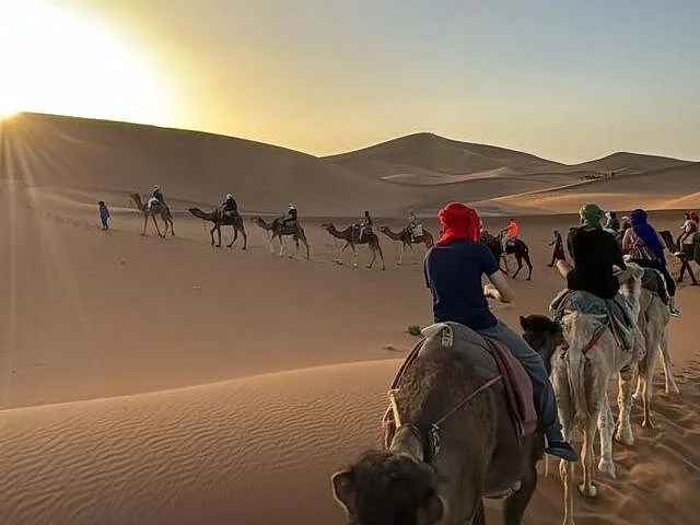 Caravan of camels carrying tourists across sand dunes at sunset