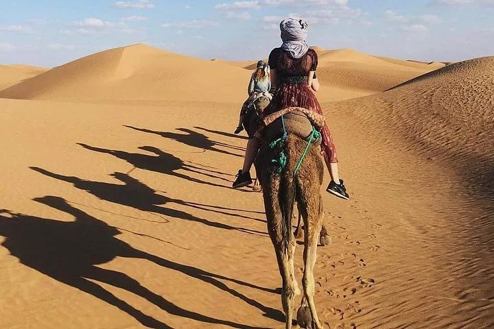 Tourists riding camels in the desert, casting long shadows on the sand