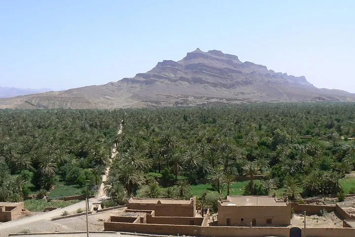 Scenic view of a lush palm grove oasis against rugged mountains