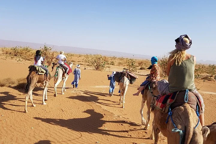 Group of tourists on a camel trek through the desert landscape
